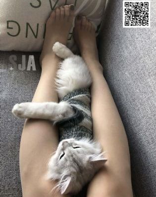动漫人物一起相差差差30免费观看_1080P在线观看完整版